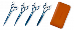 Zayani Blue Premium Light Set